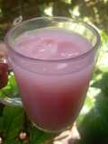 Syrup Kurnia Yakult Mizone