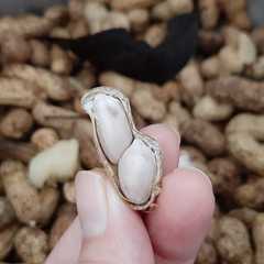 รูปของ Kacang Tanah Kukus Aromatik