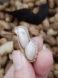 Foto resep Kacang Tanah Kukus Aromatik