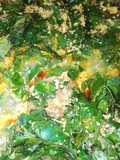 Oha obonor souper