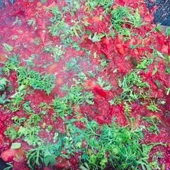 A picture of Maisur masala gravy.