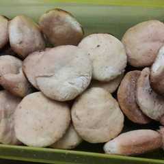 Una foto de Galletitas de manteca