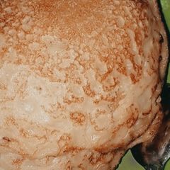 A picture of Yar-lallaba😋.