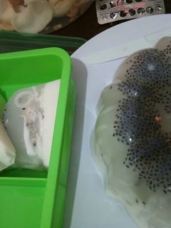 Foto resep Puding Kelapa Muda Selasih