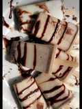 Homemade vanilla ice pop glazed with chocolate syrup