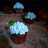 Chocolate Cup Cake Lembut