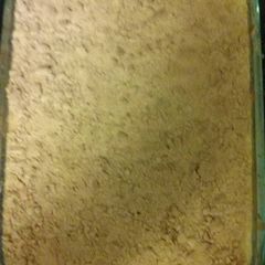 A picture of Ticsen's Poor Folks Casserole.