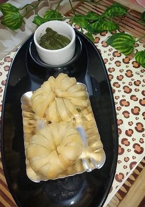 A picture of Paneer ring circle.