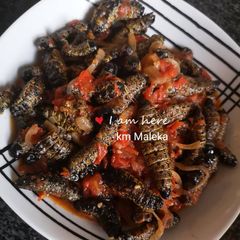 A picture of Km Mopane worms.