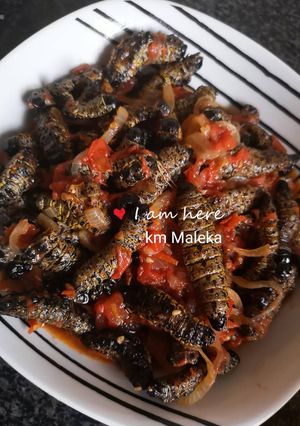 A picture of Km Mopane worms.