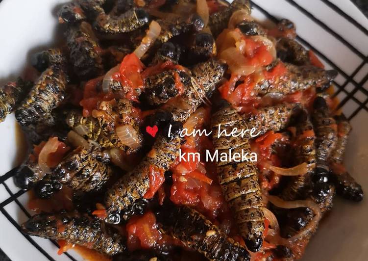 Km Mopane worms