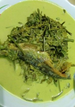 Foto resep Gulai rawit sayur pakis #BikinRamadanBerkesan
