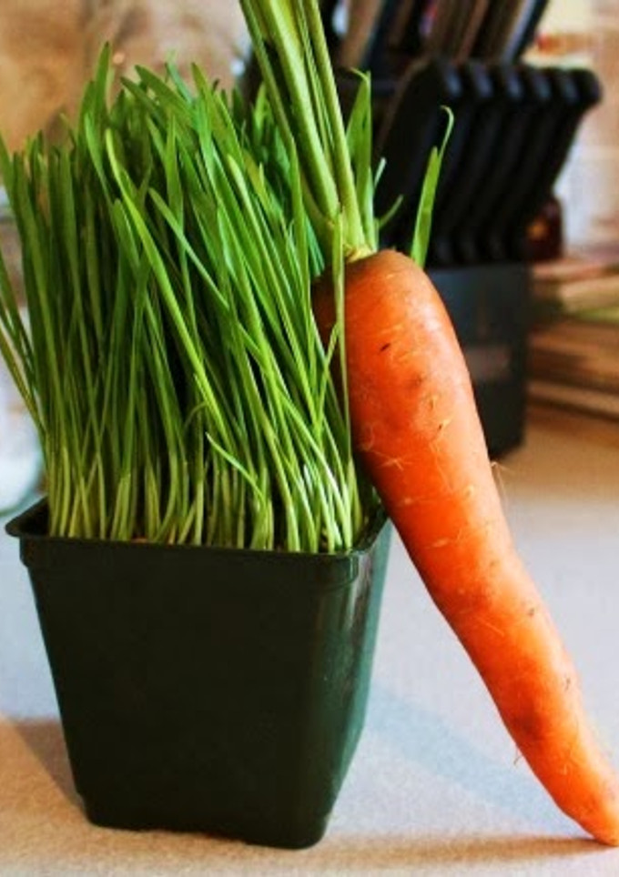 Una foto de Jugo de pasto de trigo y zanahoria