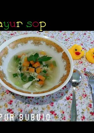 Foto resep Sayur sop mpasi