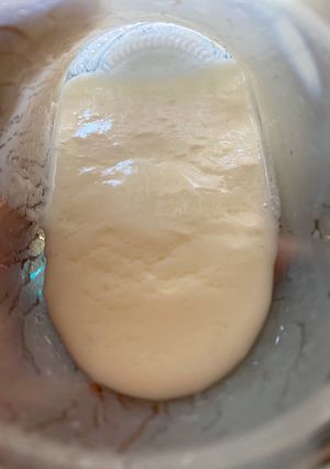 Una foto de Kéfir de leche de búlgaros