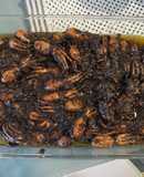 Pulpitos encebollados