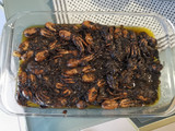 Pulpitos encebollados