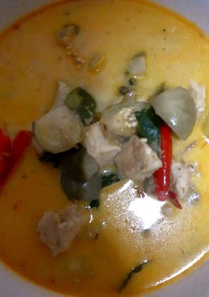รูปของ แกงเขียวหวานไก่