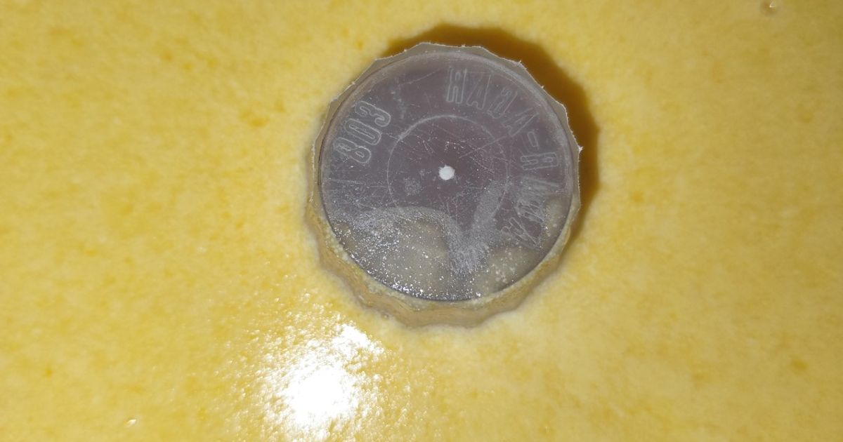 Puding Labu