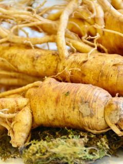 Hình của món Nhân sâm tươi ngâm mật ong.