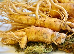 Hình của món Nhân sâm tươi ngâm mật ong.