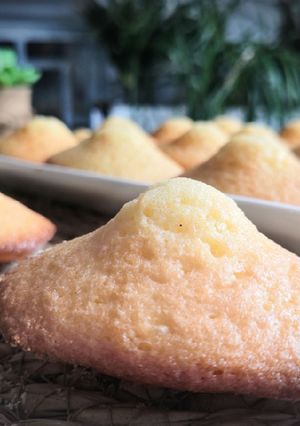 Une photo de Madeleines inratable sans temps de pause ⏸