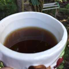 รูปของ Wedang Jahe segar