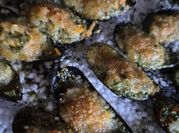 A picture of mussels butter