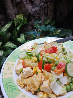 Foto resep Salad tahu telur