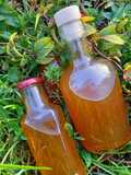 Minze-Zitronen-Sirup