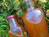 Minze-Zitronen-Sirup