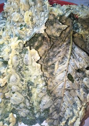 Foto resep Keripik daun bayam