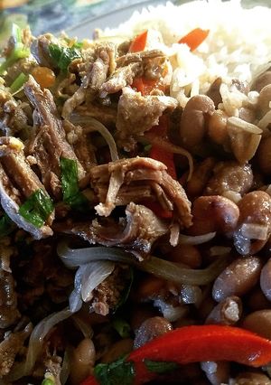 A picture of Ropa Vieja.