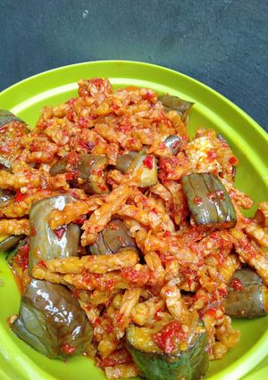 Foto resep Tempe terong balado ebi