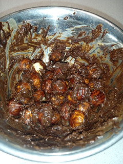 Una foto de Avellanas tostadas/garrapiñadas con chocolate (opción saludable)