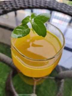 આમળા જ્યૂસ (Amla Juice Recipe In Gujarati) રેસીપી મુખ્ય ફોટો