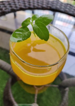 આમળા જ્યૂસ (Amla Juice Recipe In Gujarati) રેસીપી મુખ્ય ફોટો