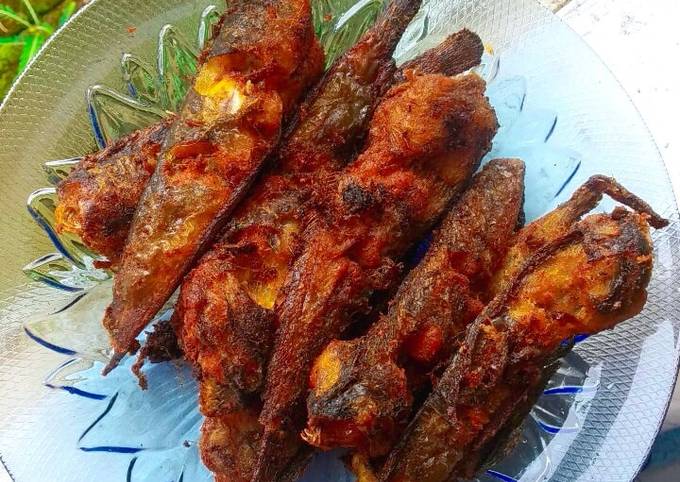 Ternyata ini lho! Resep termudah bikin Lele Goreng Kering  nagih banget