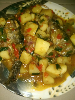 A picture of Paten doya.