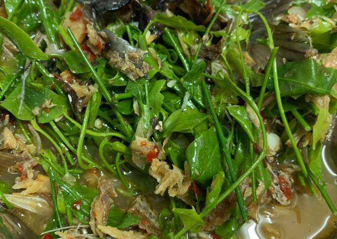สูตร แกงผักหวานใส่ปลาแห้ง (ปลาย่าง) (อาหารเหนือ) โดย Bee Chiranan - Cookpad