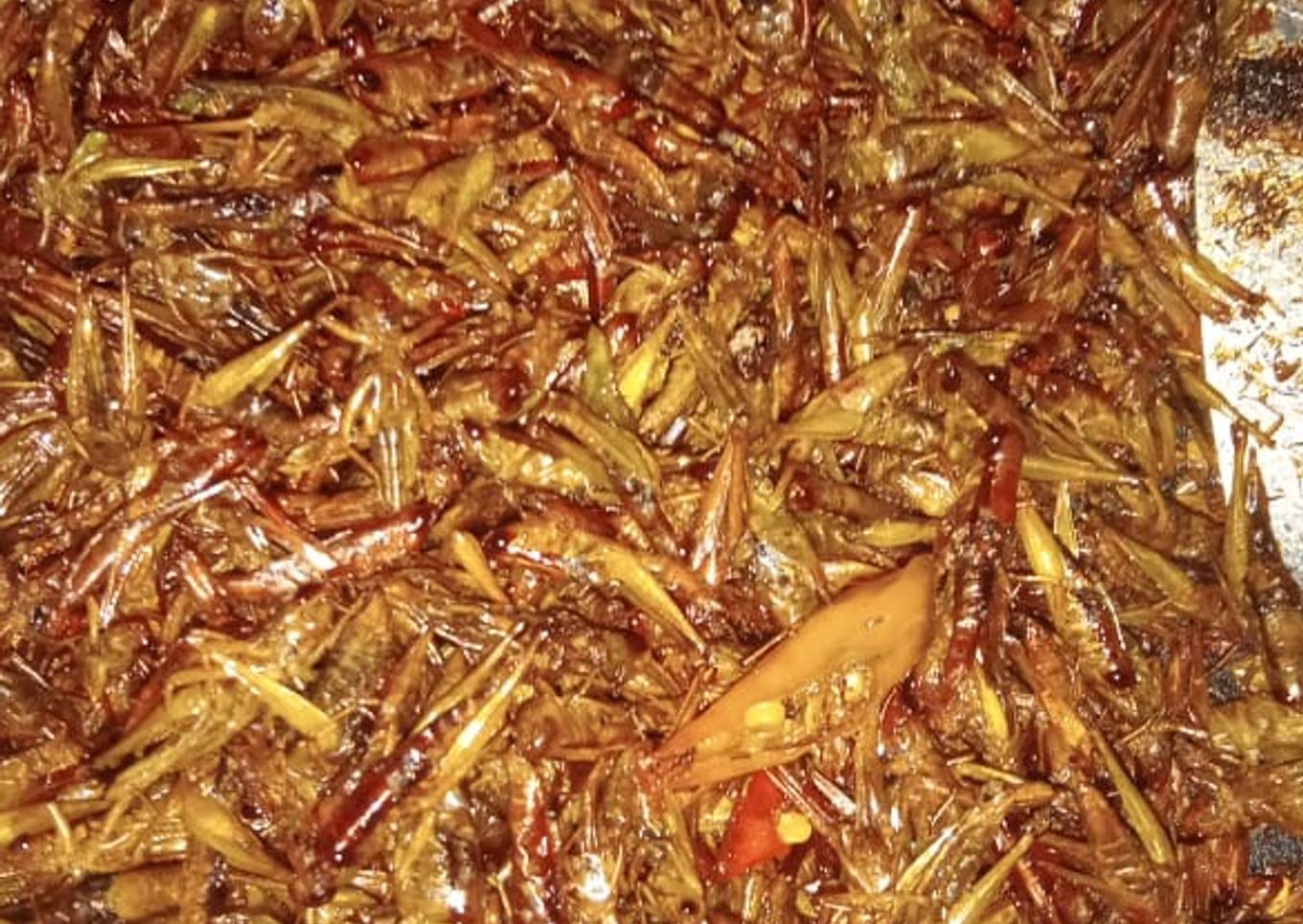 Belalang goreng tumis pedas manis