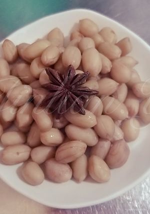 鹽滷花生 的食譜成品照片