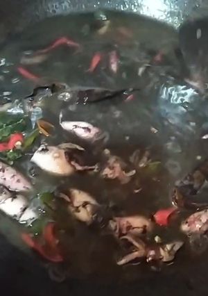 Foto resep Cumi Kuah Tinta Pedas