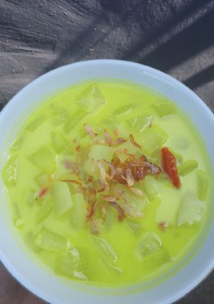 Foto resep Sayur santan pepaya muda