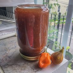 A picture of Fig & Habanero Preserves.