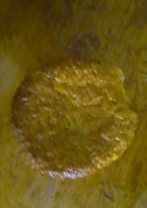 Una foto de Pan de elote