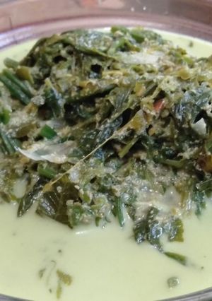 Foto resep Gulai pakis cabe rawit