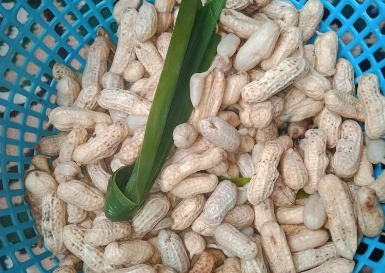 Cara Gampang Bikin Kacang Rebus harum Pandan yang Lezat Sekali