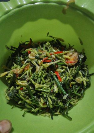 Foto resep Tumis Pakis Bunga Pepaya Ala Bunda Kembar