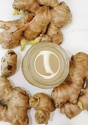 Foto resep Fermented Homemade Ginger Soda